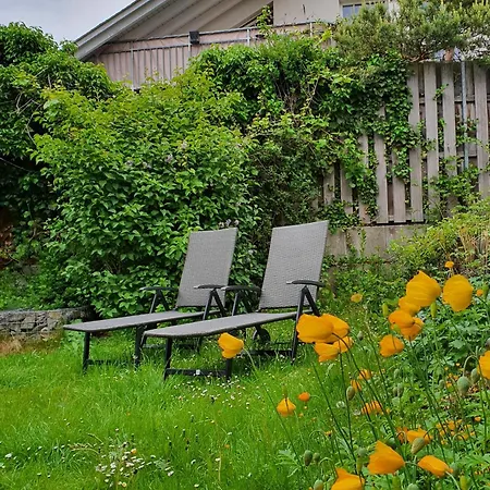 Mit Garten